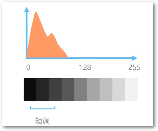 image-20221219151849932